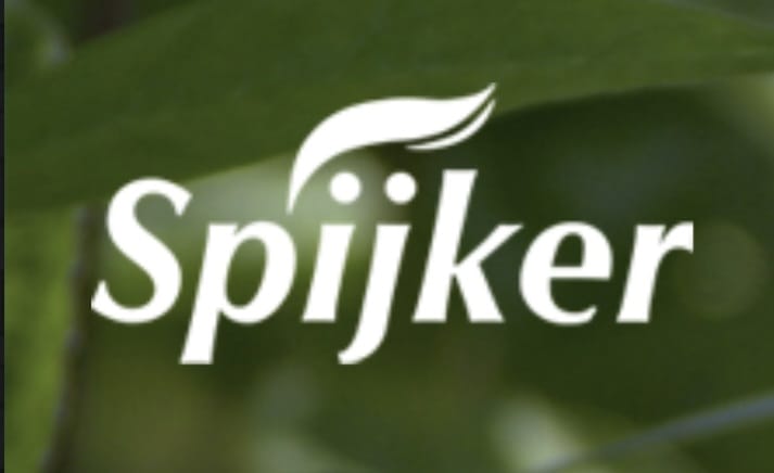 Spijker